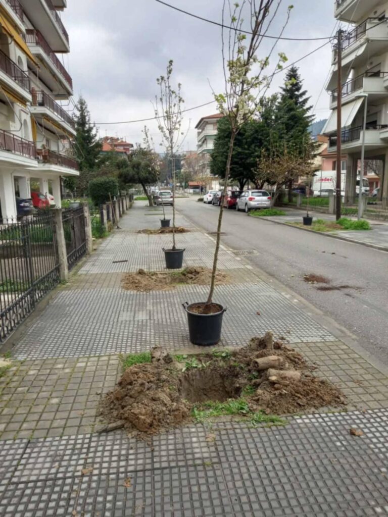 Δενδροφυτεύσεις πραγματοποιήθηκαν στην πόλη της Έδεσσας