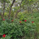 IMG_20250427_121605