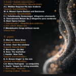 flyer ensemble-02