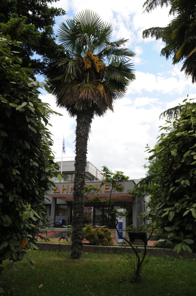 9η ΠΡΟΣΚΛΗΣΗ ΣΥΝΕΔΡΙΑΣΗΣ ΔΗΜΟΤΙΚΟΥ ΣΥΜΒΟΥΛΙΟΥ ΕΔΕΣΣΑΣ ΕΤΟΥΣ 2025 (θέματα)