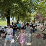 εικόνα_Viber_2025-06-15_20-39-27-661