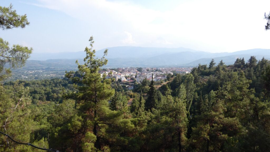 Προληπτική απαγόρευση διέλευσης, παραμονής και κυκλοφορίας προσώπων και οχημάτων, στο Πάρκο-Δάσος της Έδεσσας του Δήμου Έδεσσας και στο Δάσος Ελευθεροχωρίου του Δήμου Πέλλας, της ΠΕ Πέλλας,  την Πέμπτη 10 Ιουλίου 2025, από της 08:00 π.μ. και  για 12 ώρες (12)  ώρες, μέχρι τις 08.00μ.μ.