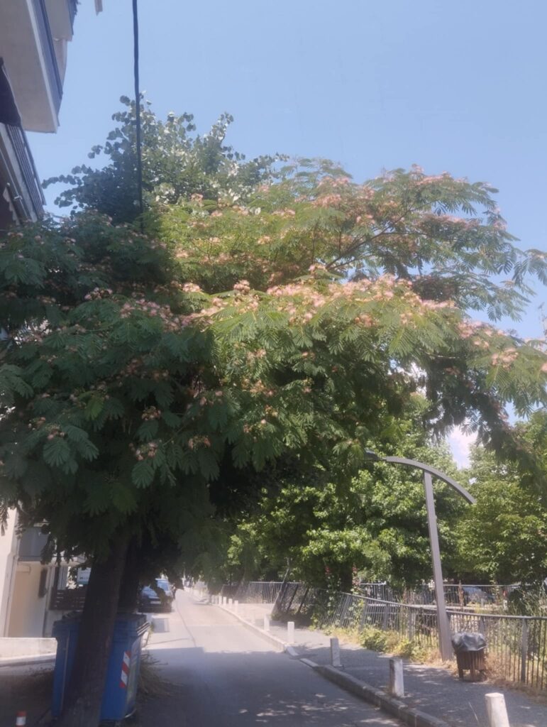 Ανακοίνωση από την Αυτοτελή Διεύθυνση Πολιτικής Προστασίας της Περιφέρειας Κεντρικής Μακεδονίας για έκτακτο δελτίο επιδείξεων καιρού (καύσωνας)