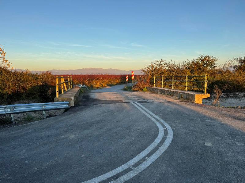 Ο Δήμος Πέλλας συνεχίζει με έργα - Ασφαλτόστρωση τμημάτων αγροτικών οδών στην Δ.Ε Μεγ. Αλεξάνδρου