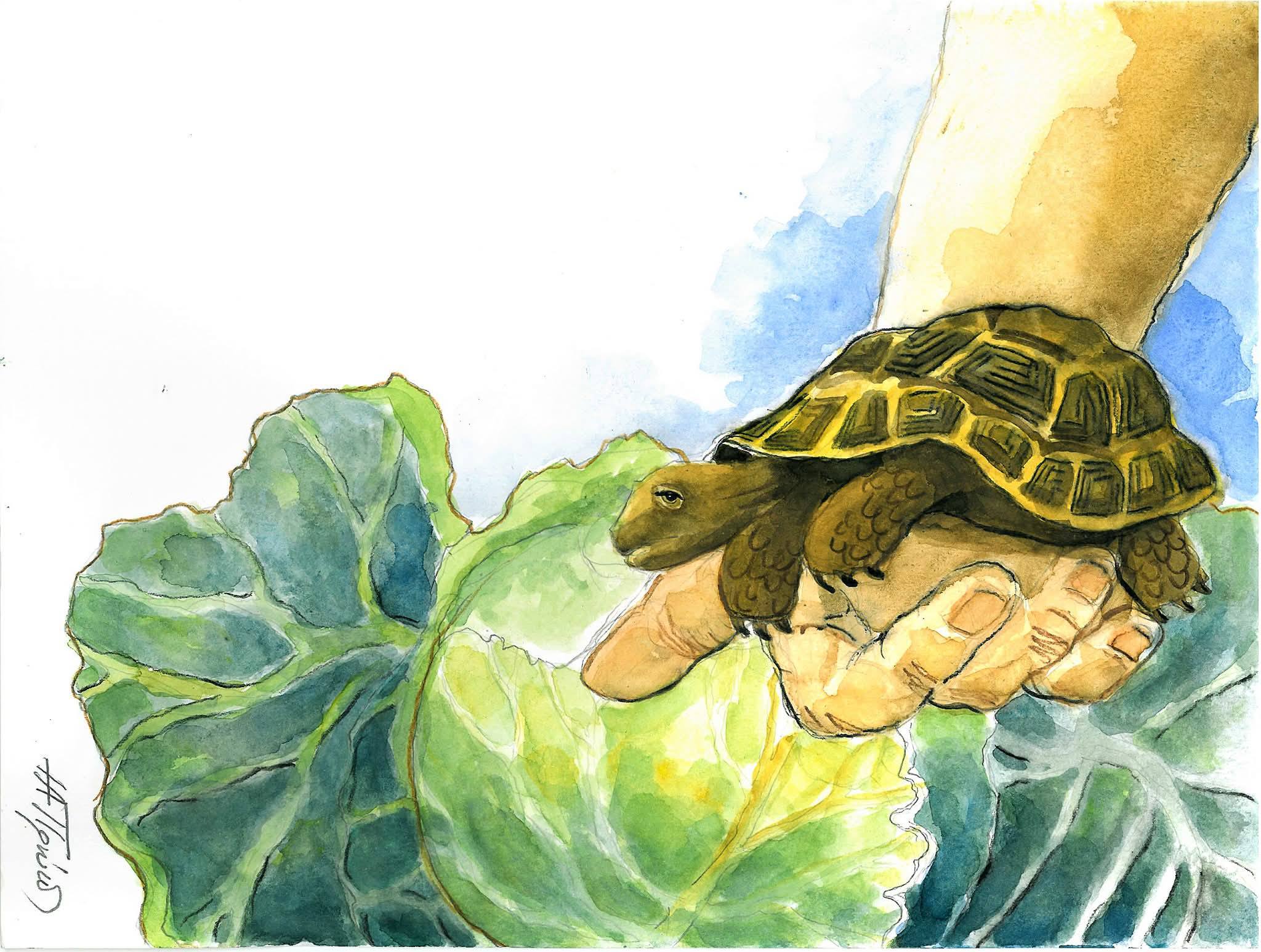 Το βιβλίο του ΦΣΕ "Μέγας Αλέξανδρος" με τίτλο "Παραμύθια από την Έδεσσα και τη περιοχή της" ταξιδεύει!