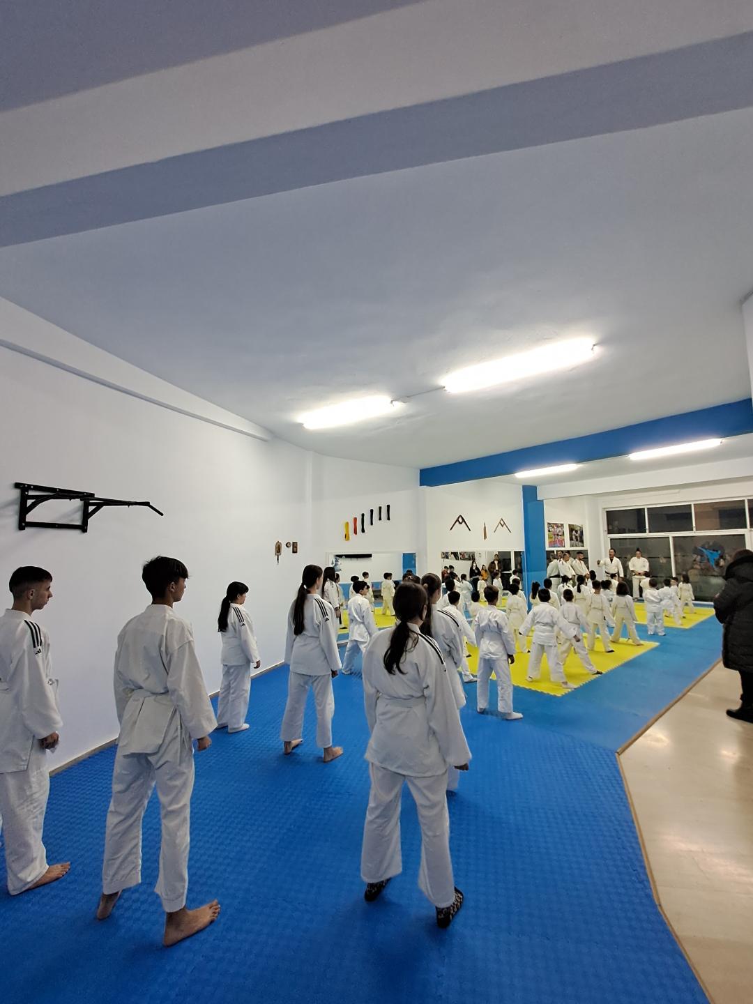 Με επιτυχία οι εξετάσεις ζωνών του Α.Σ. Ακαδημία Άθλησης Έδεσσας