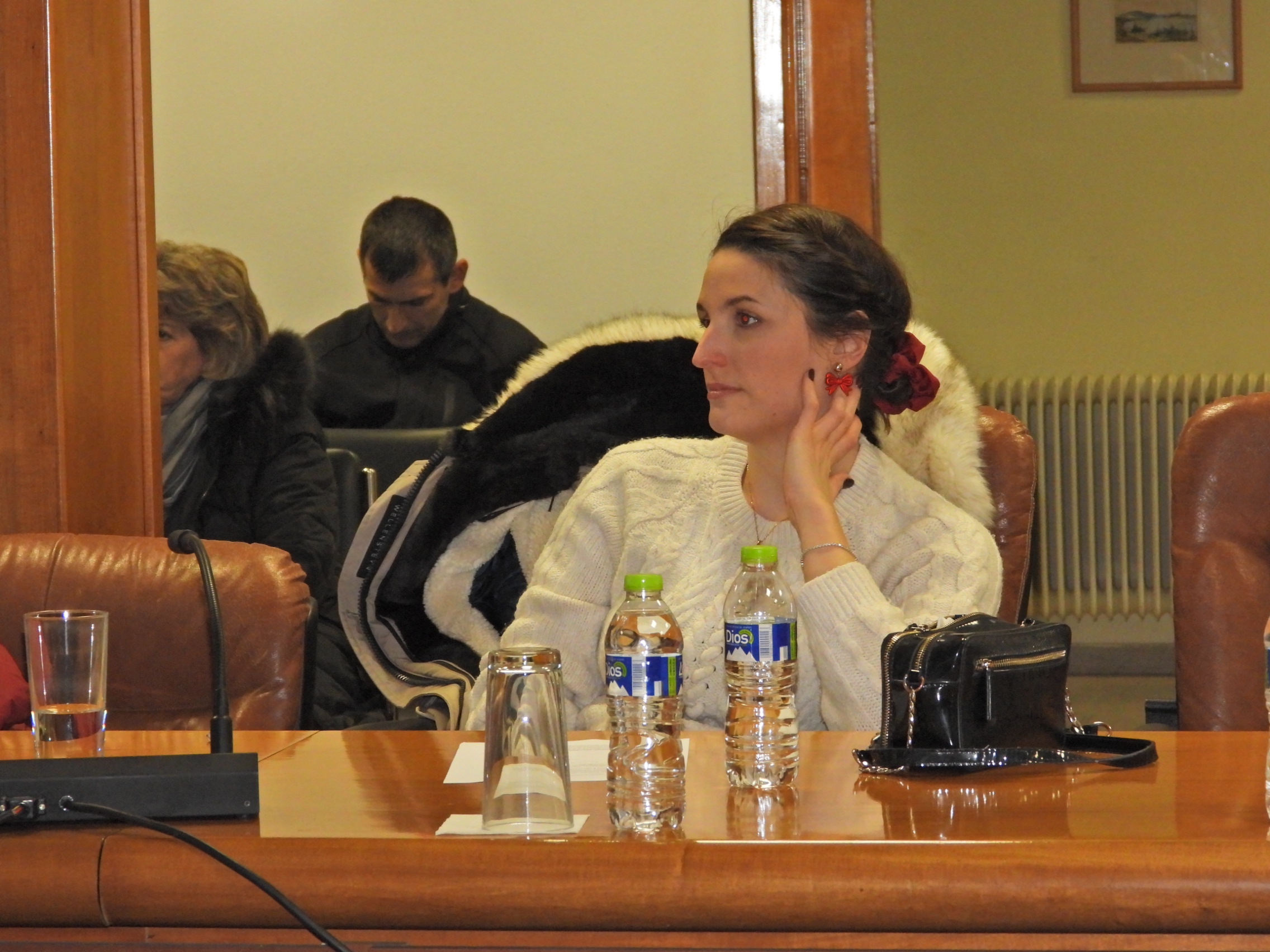 1η Πρόσκληση Συνεδρίασης Δημοτικού Συμβουλίου Έδεσσας έτους 2026