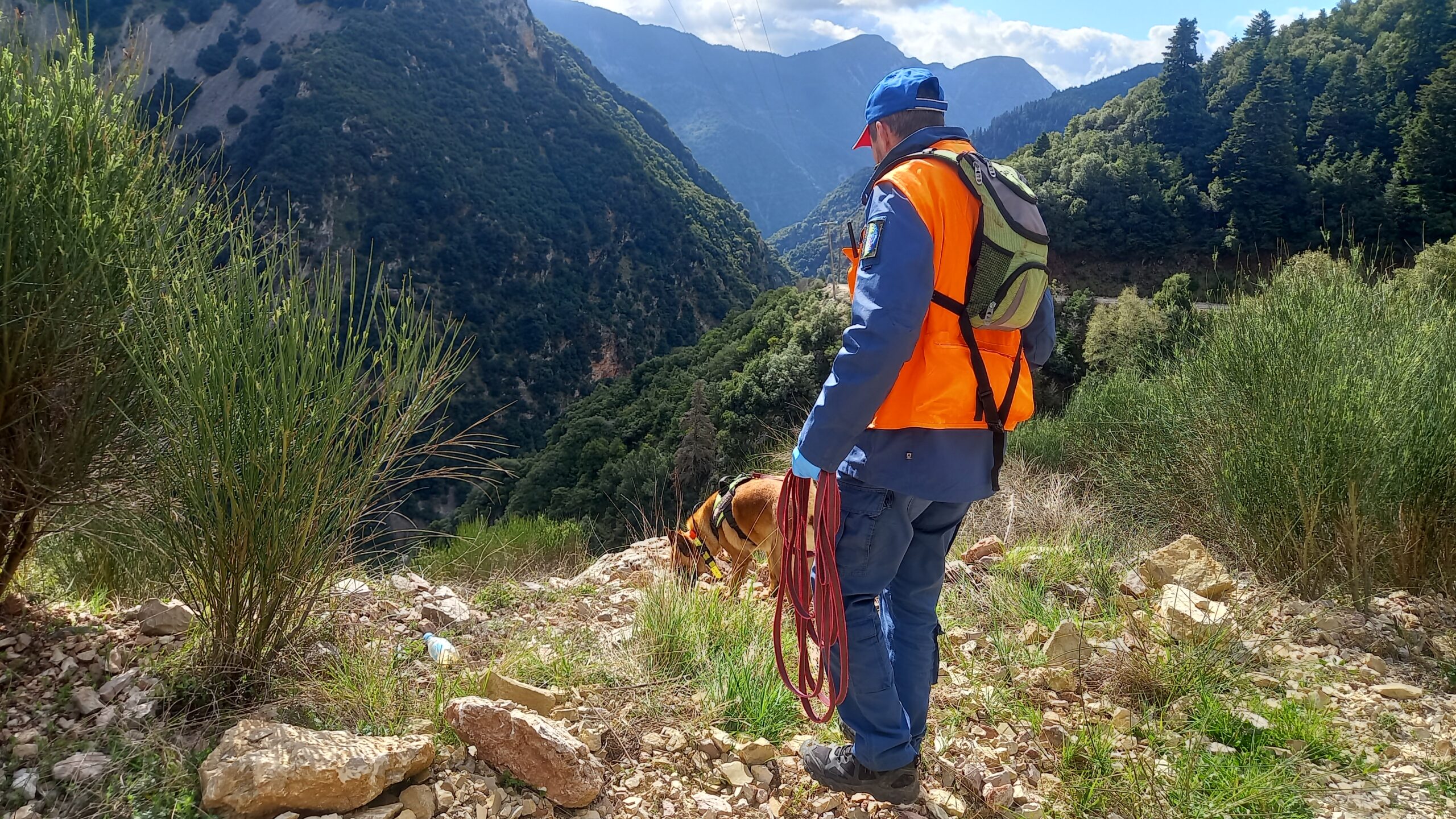 Η 22α Φεβρουαρίου έχει οριστεί ως Εθνική Ημέρα Δράσης κατά των Δηλητηριασμένων Δολωμάτων