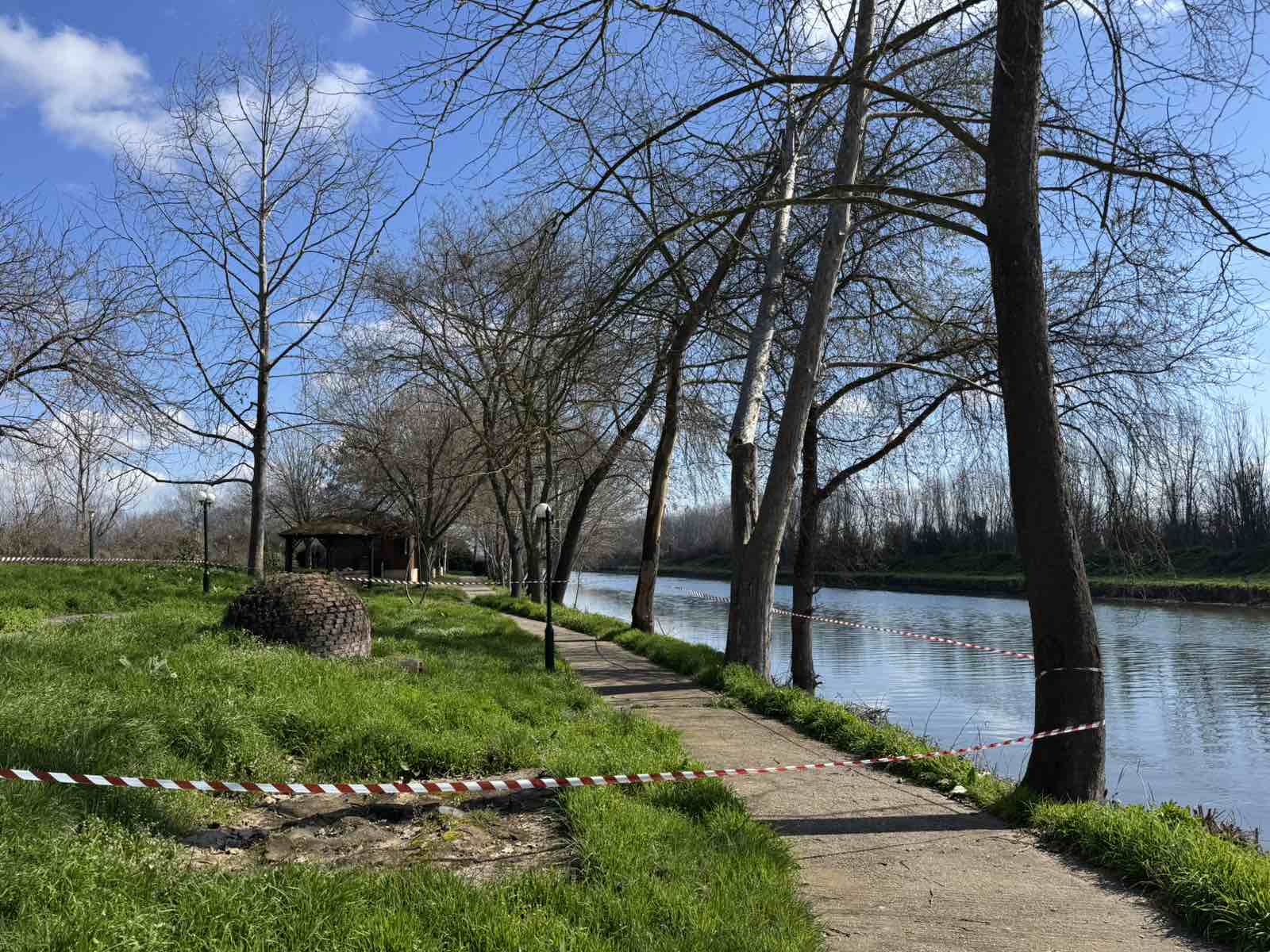 Παρέμβαση του Δήμου Πέλλας για την αποτροπή εξάπλωσης έλκους πλατάνου στο Λουδία