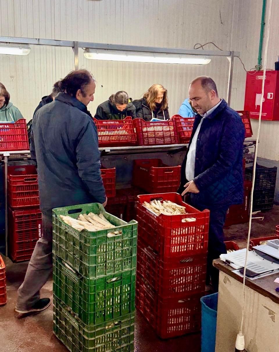 Επίσκεψη Λάκη Βασιλειάδη σε αγροτικούς συνεταιρισμούς και ομάδες παραγωγών της Αλμωπίας για το σπαράγγι: «Μια δυναμική καλλιέργεια για την περιοχή μας που οφείλουμε να στηρίζουμε»