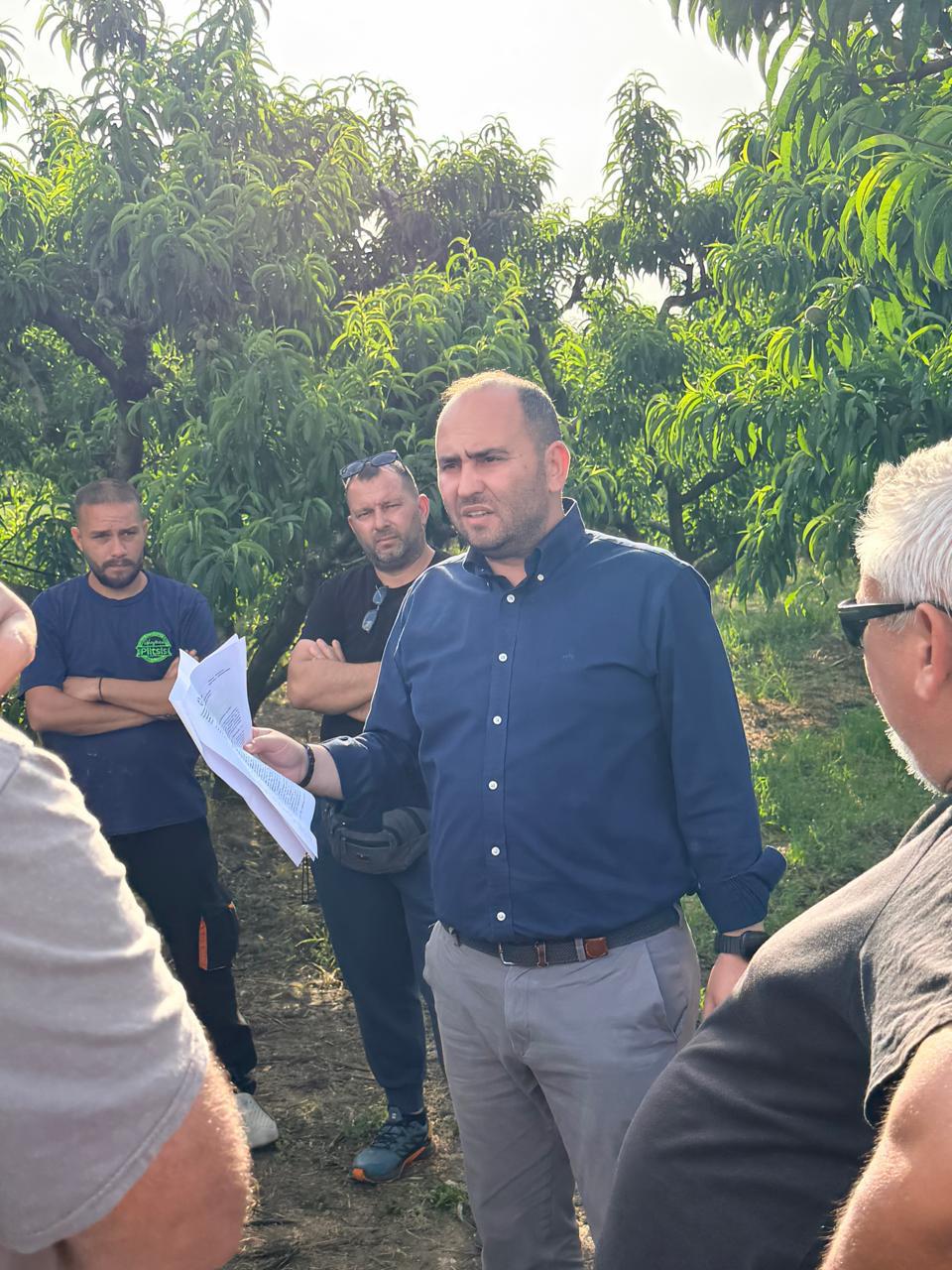 Φαινόμενο «Ξερές Βέργες» σε Ροδάκινα και άλλες καλλιέργειες – Ενέργειες για την εξάπλωση του φαινομένου: «Να γίνει ένας σοβαρός συντονισμός από τις αρμόδιες υπηρεσίες, ώστε να ερευνηθεί πλήρως το φαινόμενο και να βρούμε λύσεις αντιμετώπισης»