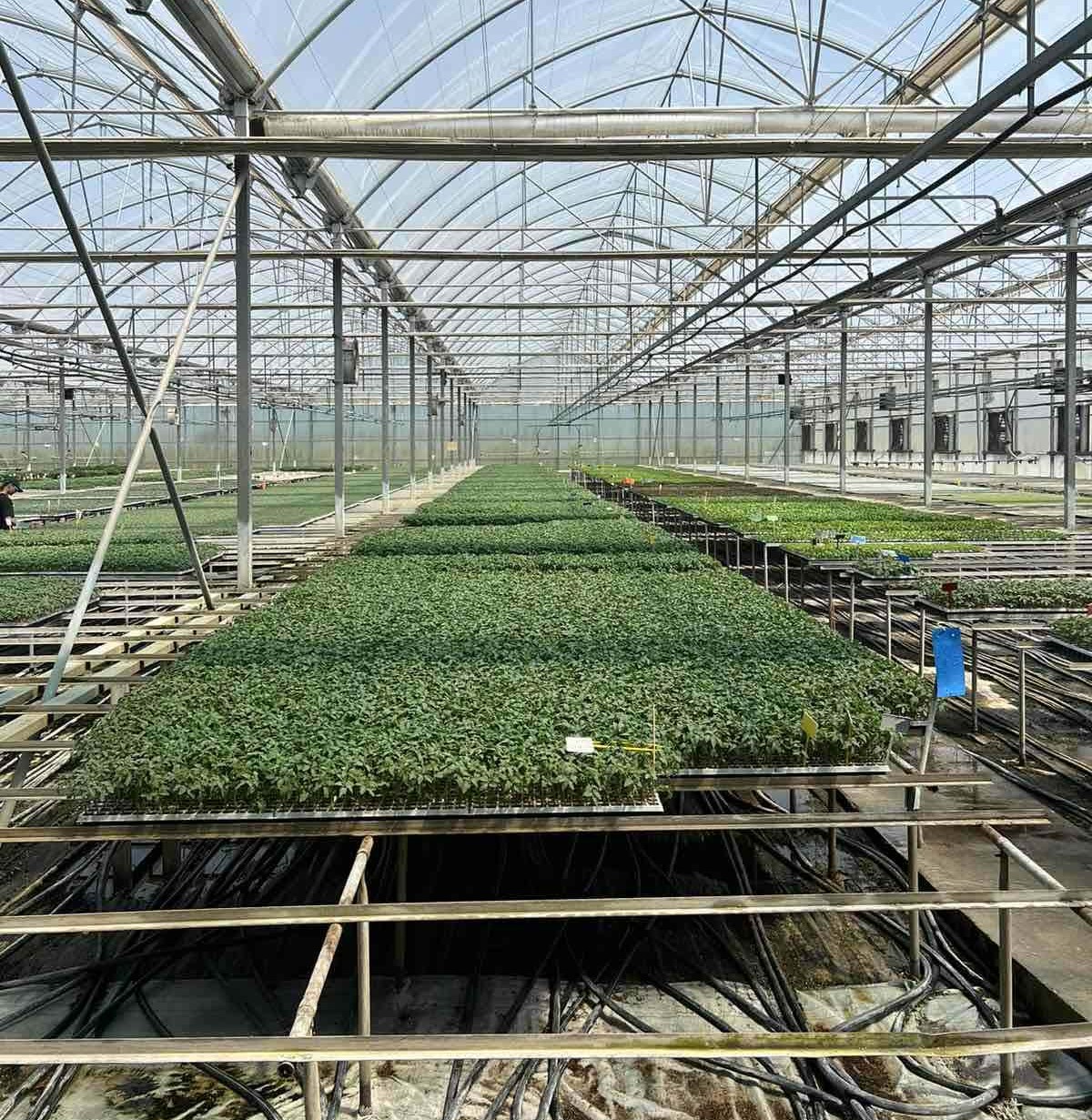 Δήμος Πέλλας και Novagreen A.E. ανταλλάσσουν απόψεις για την ορθολογική διαχείριση του νερού και την προστασία του περιβάλλοντος