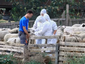 Όλες οι ειδήσεις